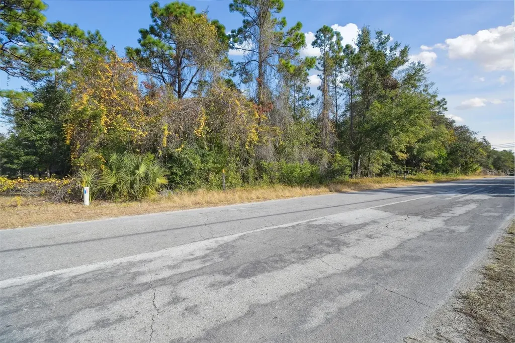 Little Ranch Road Spring Hill FL 34610