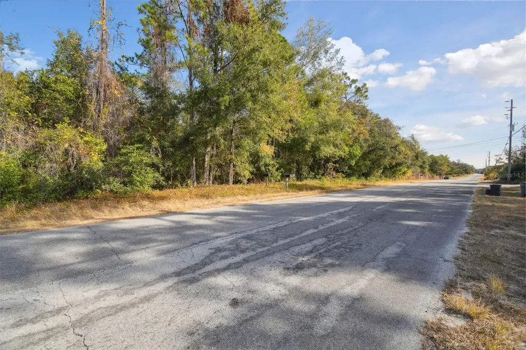 Little Ranch Road Spring Hill FL 34610