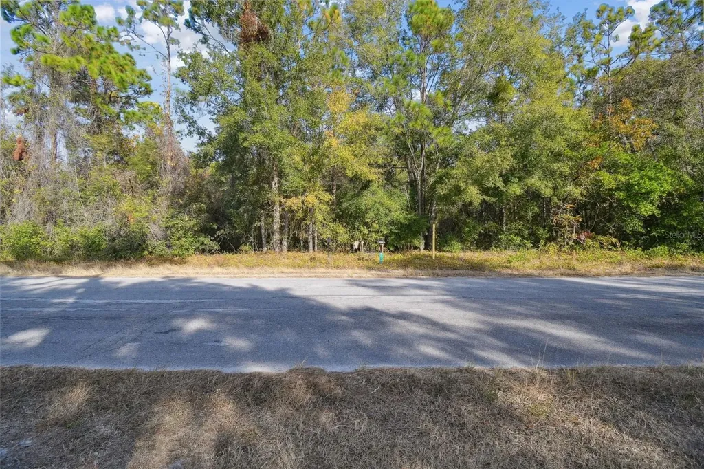 Little Ranch Road Spring Hill FL 34610