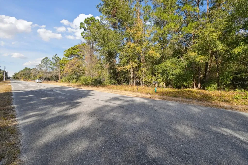 Little Ranch Road Spring Hill FL 34610
