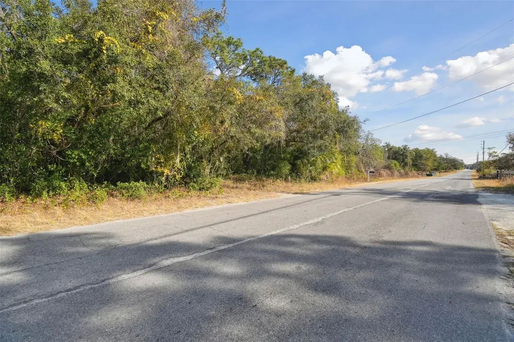 Little Ranch Road Spring Hill FL 34610