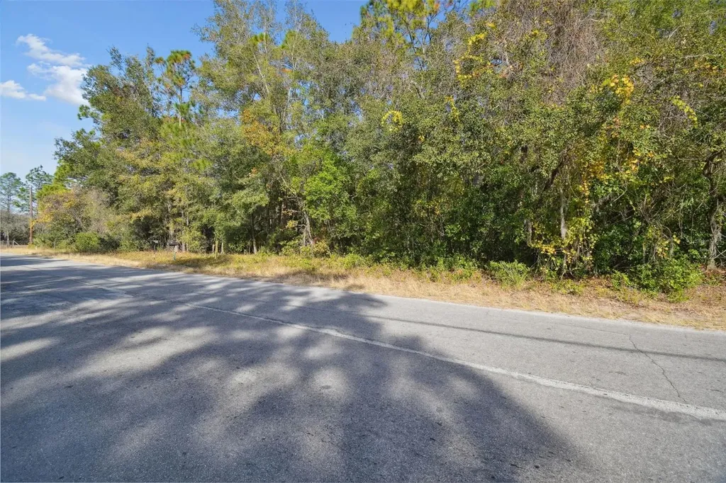 Little Ranch Road Spring Hill FL 34610