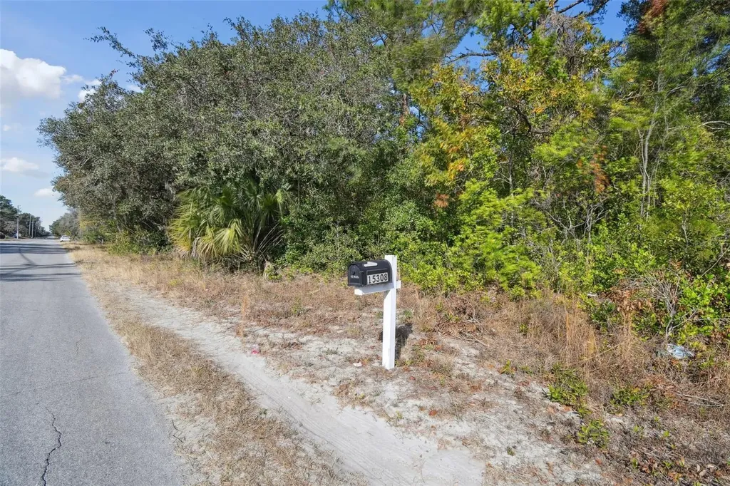 Little Ranch Road Spring Hill FL 34610