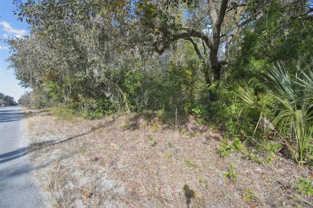 Little Ranch Road Spring Hill FL 34610
