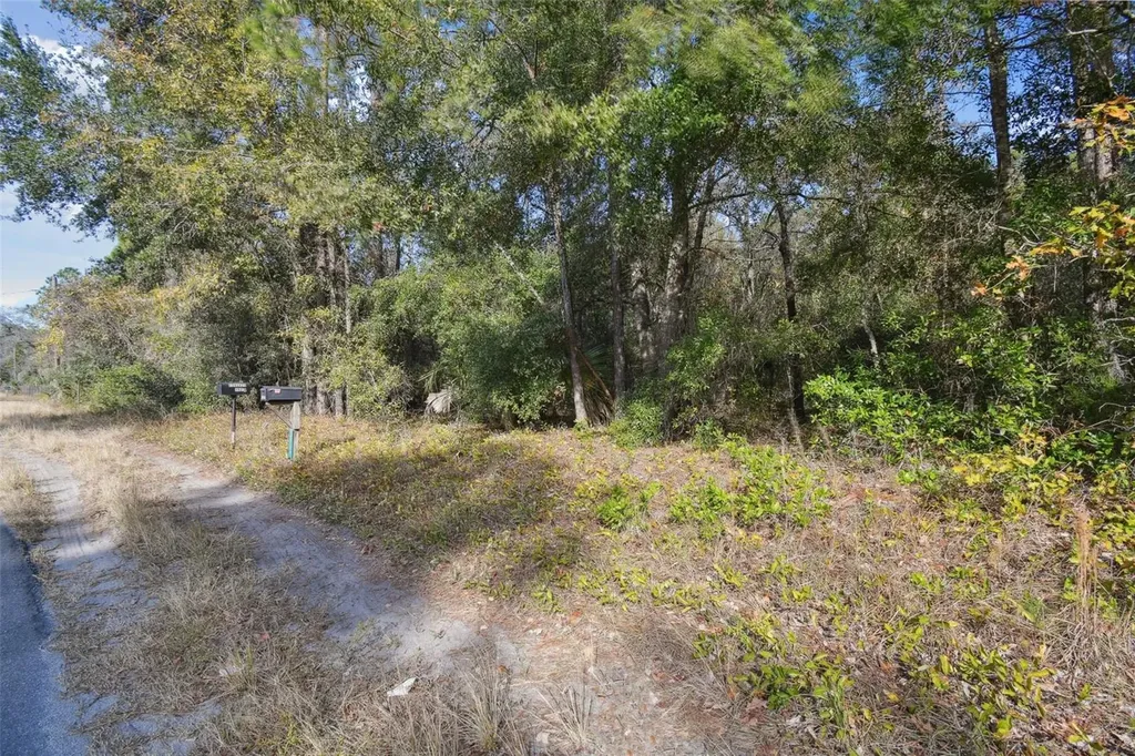 Little Ranch Road Spring Hill FL 34610
