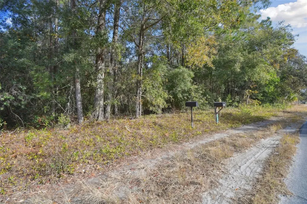 Little Ranch Road Spring Hill FL 34610