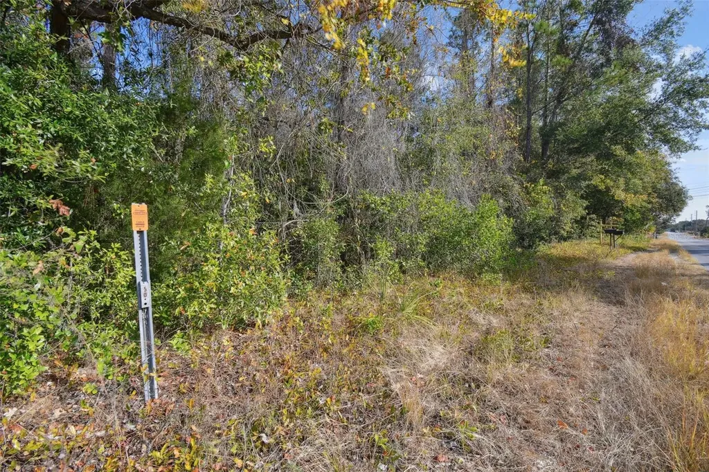 Little Ranch Road Spring Hill FL 34610
