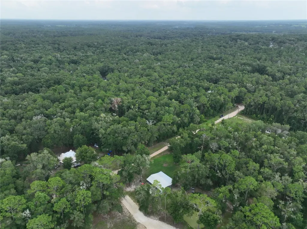 13205 S Crater Terrace Floral City FL 34436