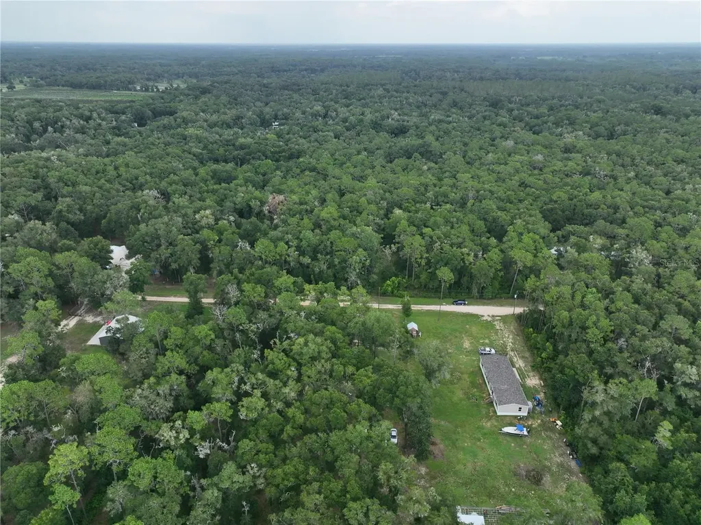 13205 S Crater Terrace Floral City FL 34436