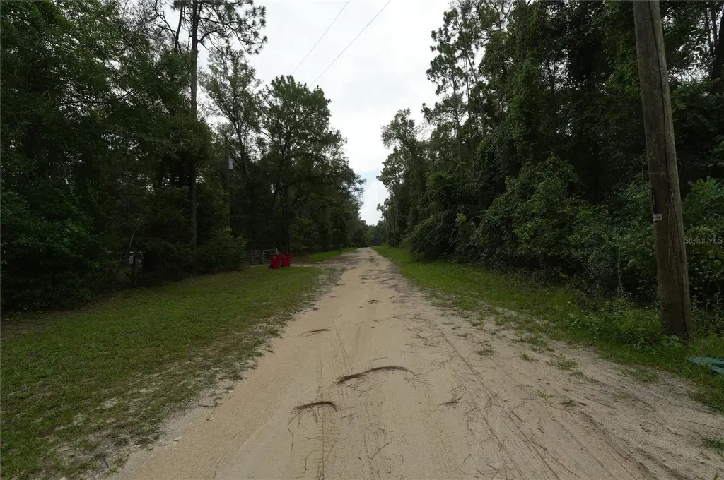 13205 S Crater Terrace Floral City FL 34436