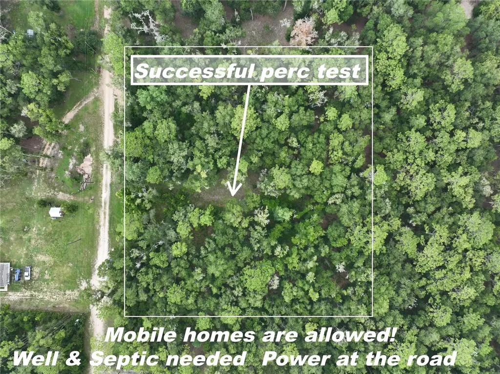 13205 S Crater Terrace Floral City FL 34436