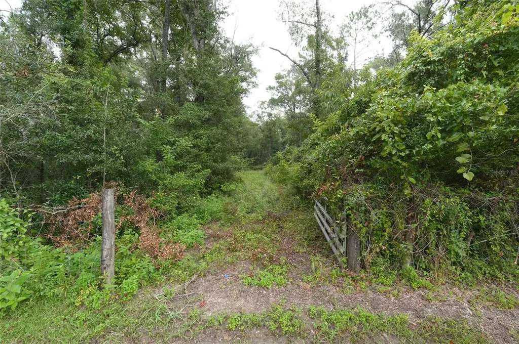 13205 S Crater Terrace Floral City FL 34436