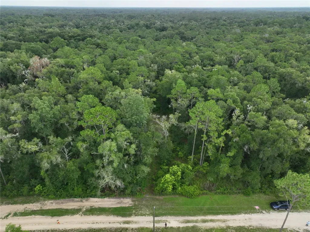 13205 S Crater Terrace Floral City FL 34436