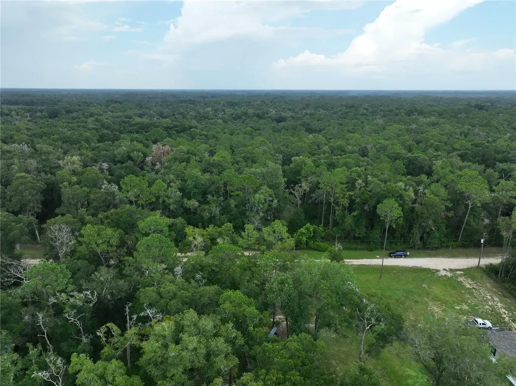 13205 S Crater Terrace Floral City FL 34436