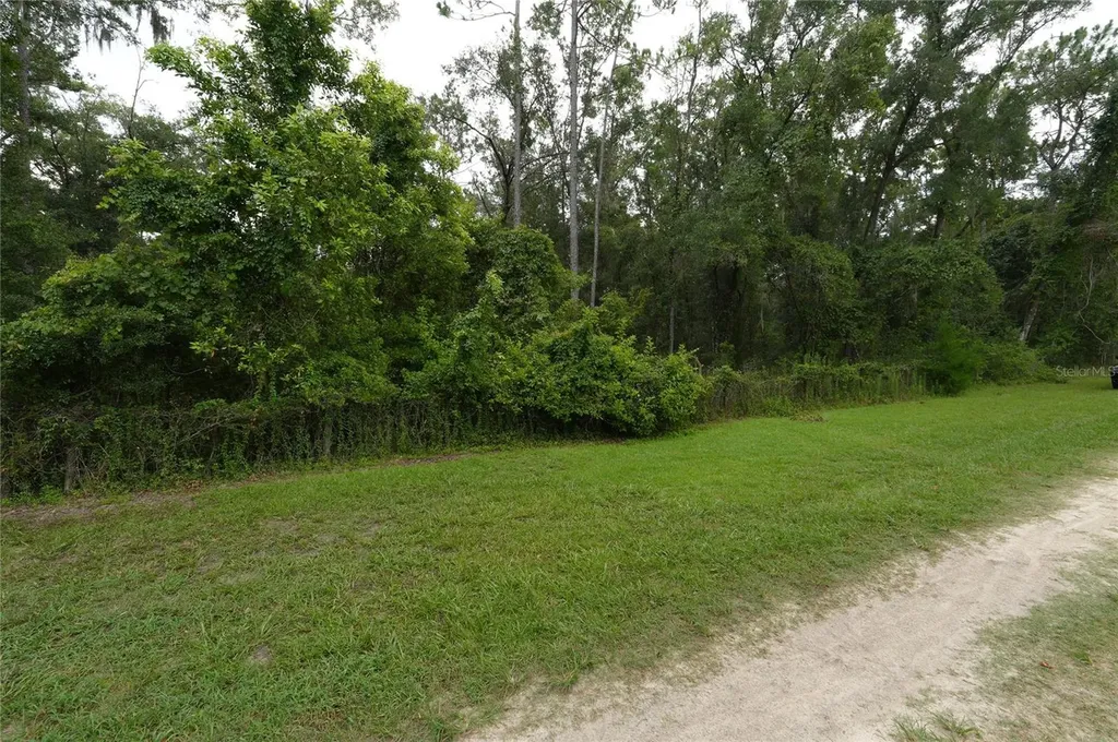 13205 S Crater Terrace Floral City FL 34436