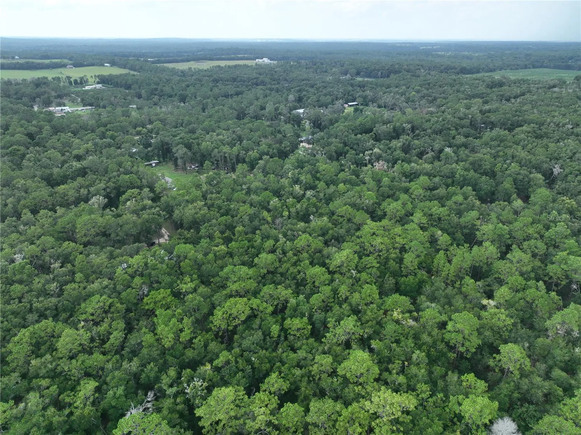 13205 S Crater Terrace Floral City FL 34436