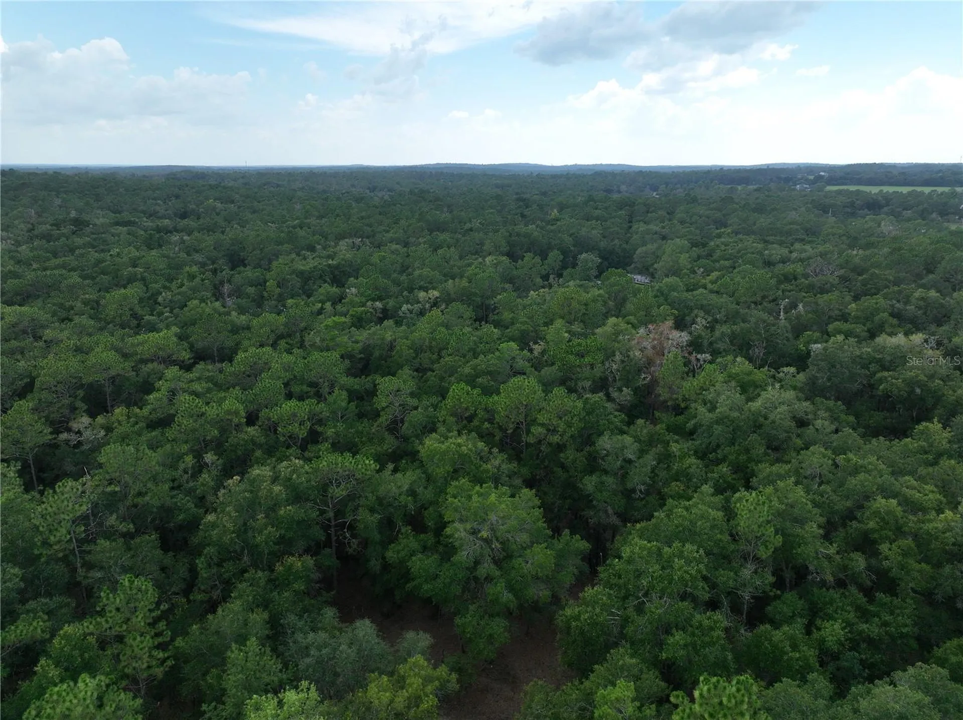 13205 S Crater Terrace Floral City FL 34436