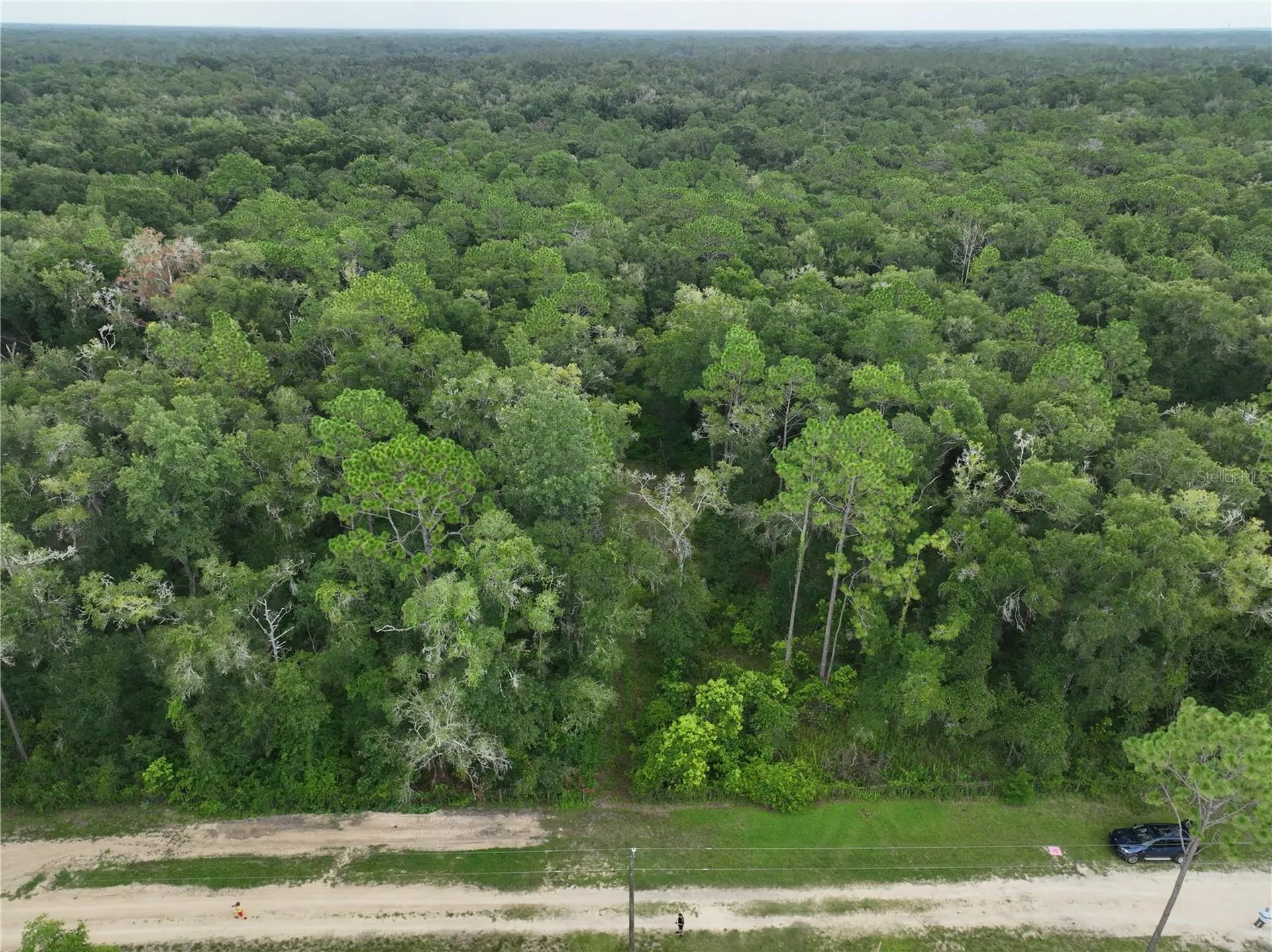 13205 S Crater Terrace Floral City FL 34436