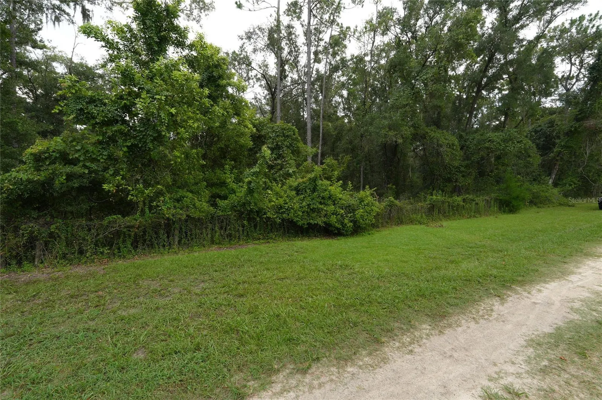 13205 S Crater Terrace Floral City FL 34436