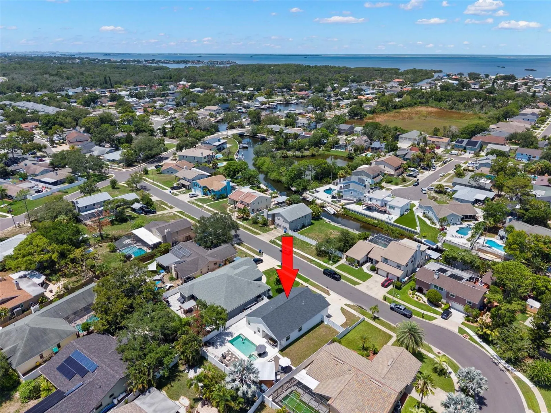 4827 Blue Jay Circle Palm Harbor FL 34683