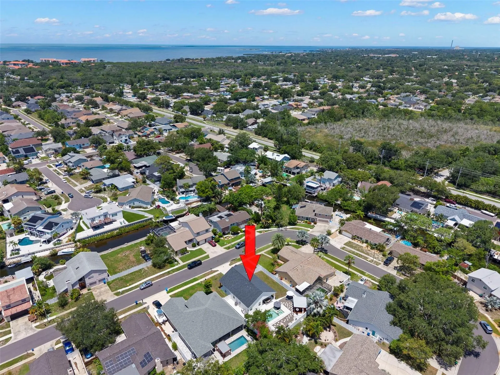 4827 Blue Jay Circle Palm Harbor FL 34683