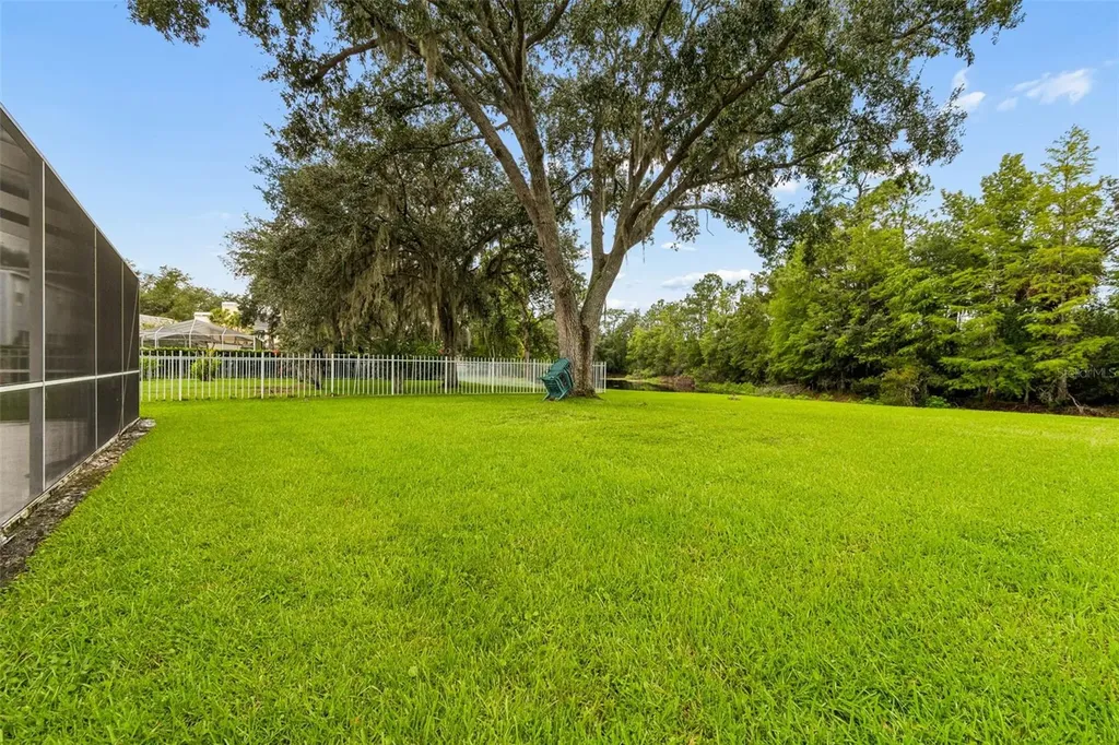 4966 Ebensburg Drive Tampa FL 33647