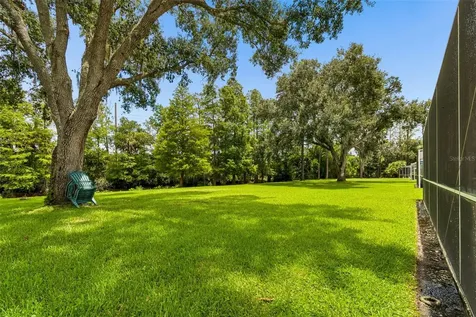 4966 Ebensburg Drive Tampa FL 33647