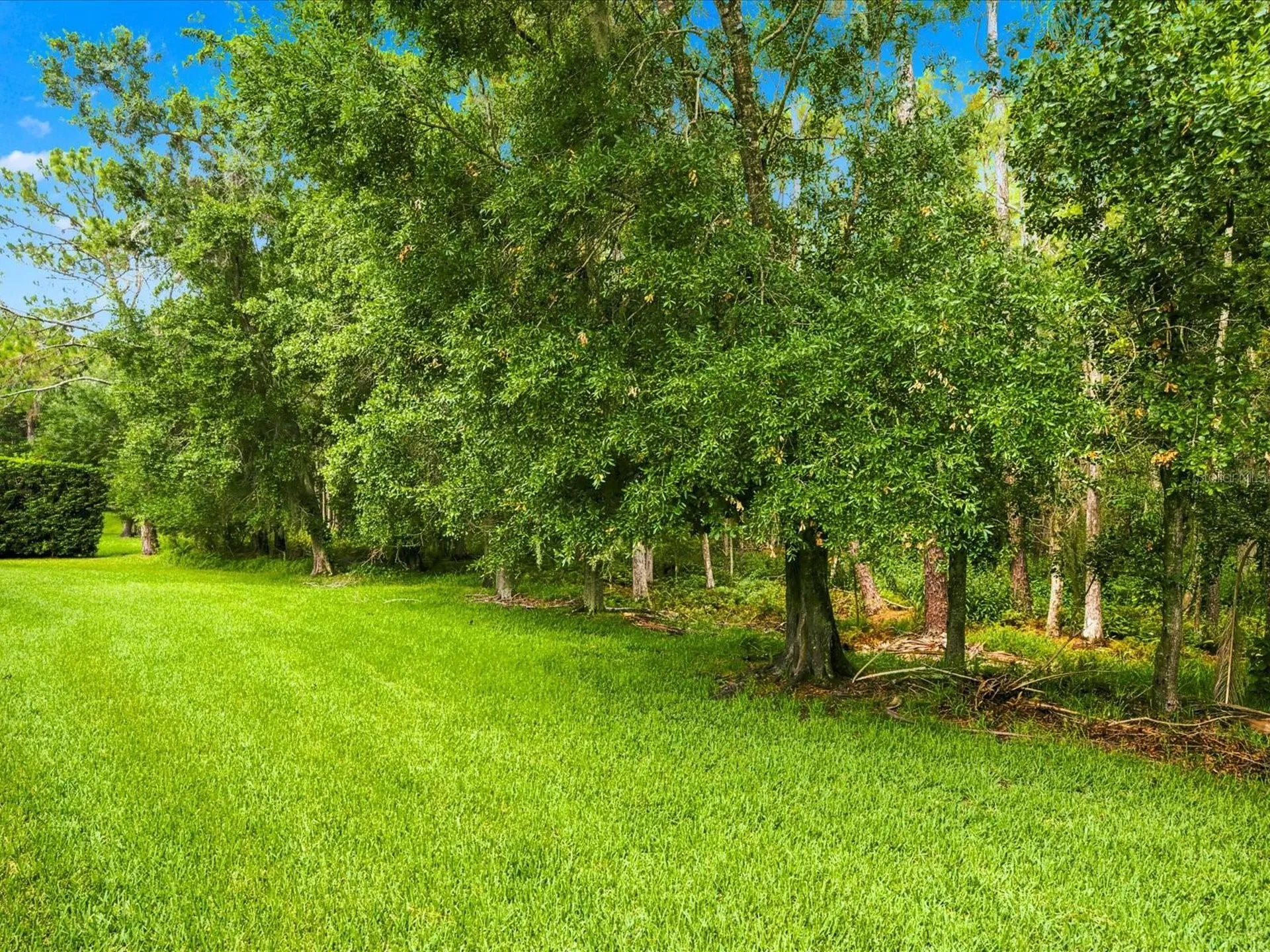 18621 Avenue Capri Lutz FL 33558