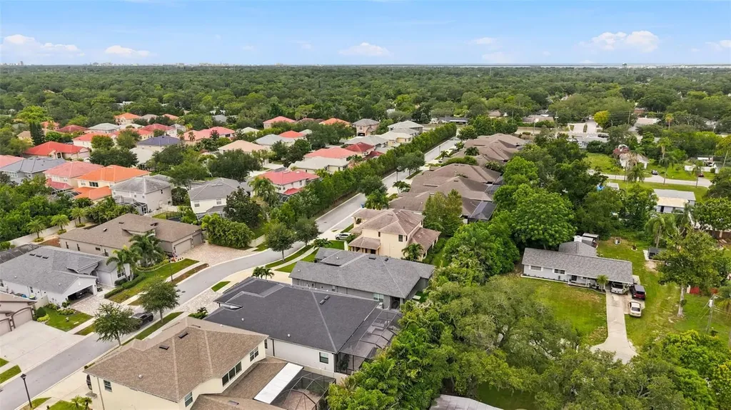 Dunedin FL 34698