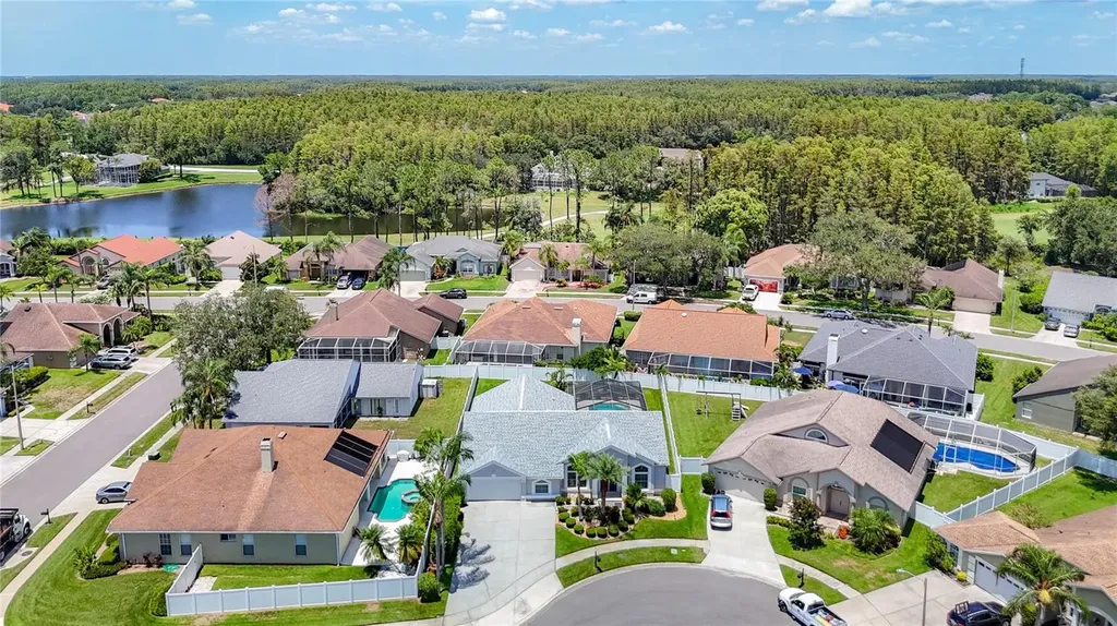 4105 Angel Wing Court Lutz FL 33558