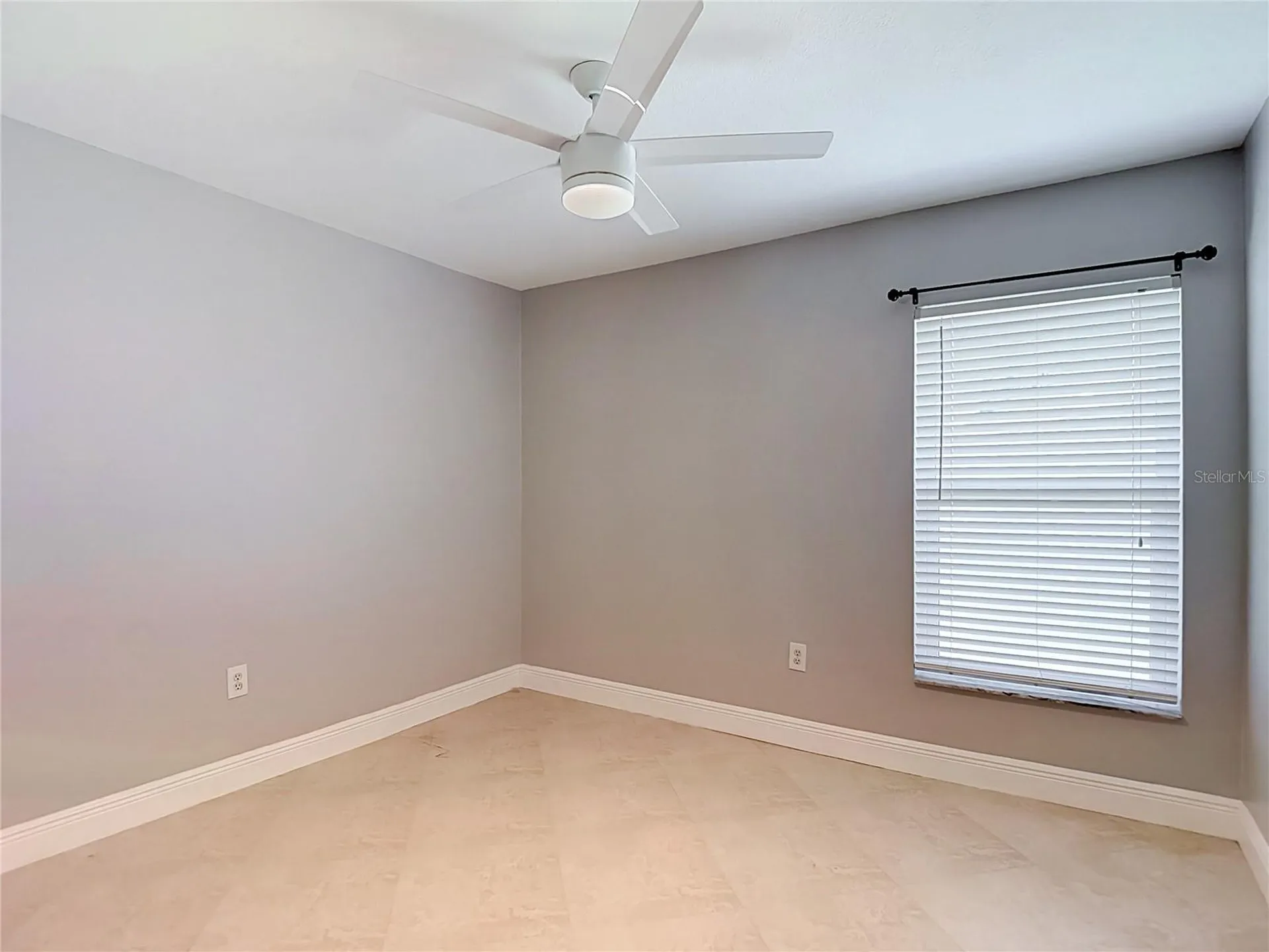 4105 Angel Wing Court Lutz FL 33558