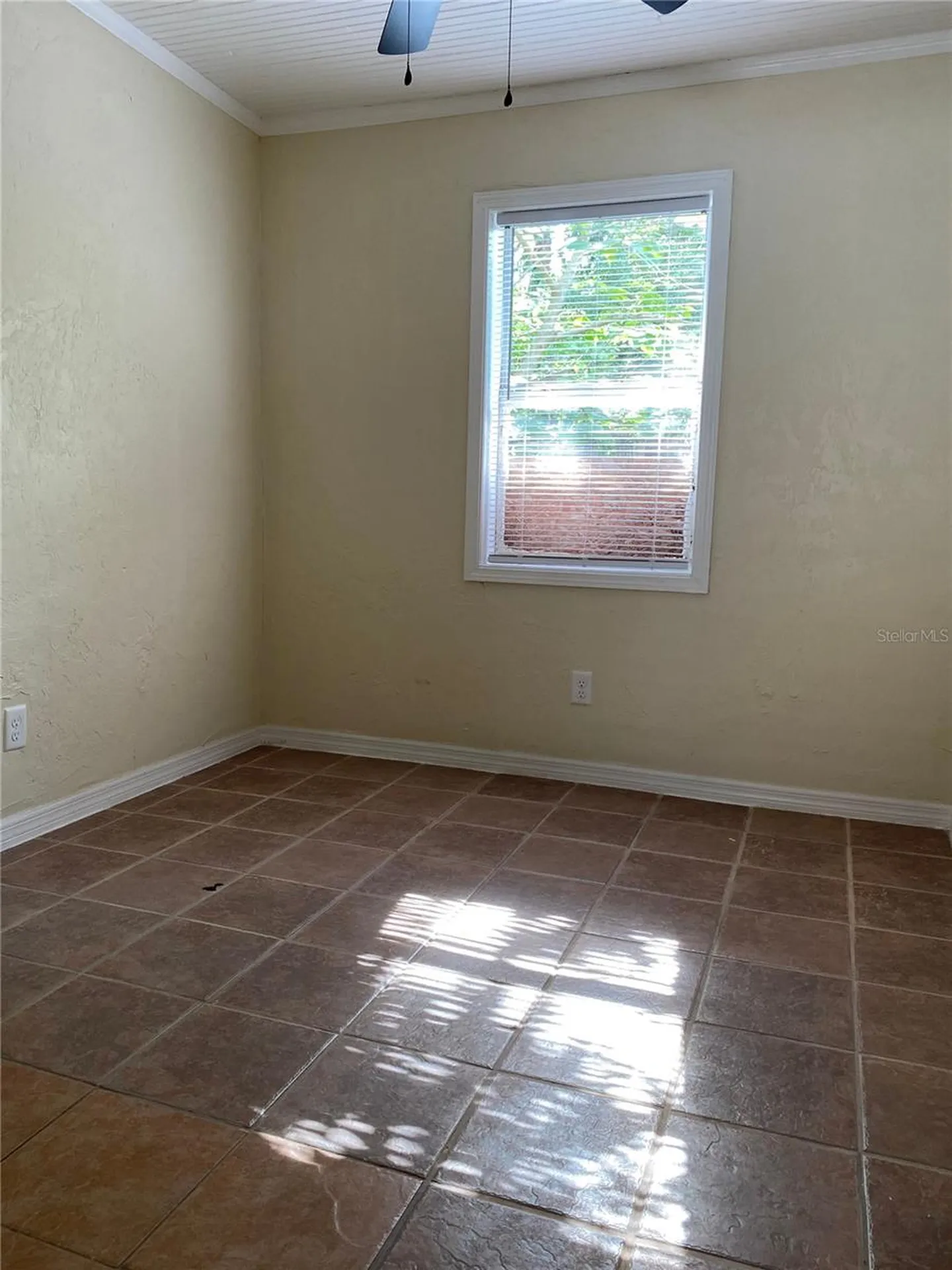 1121 NW 6th Avenue Gainesville FL 32603
