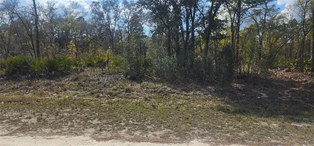 18043 Ramsey Road Weeki Wachee FL 34614