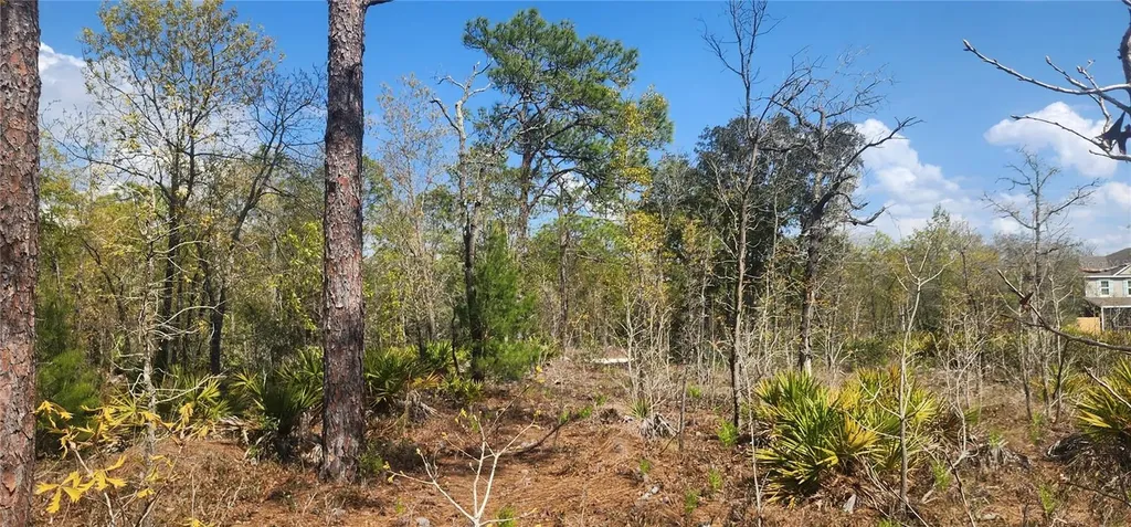 18043 Ramsey Road Weeki Wachee FL 34614