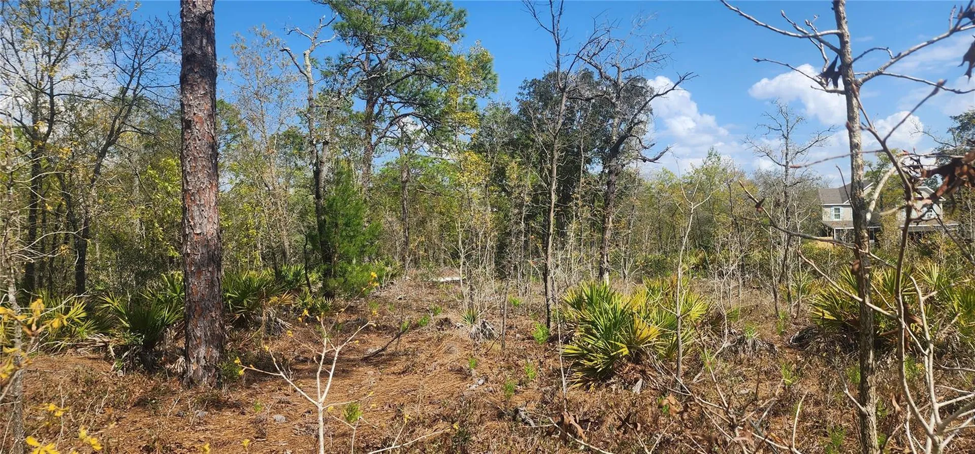 18043 Ramsey Road Weeki Wachee FL 34614
