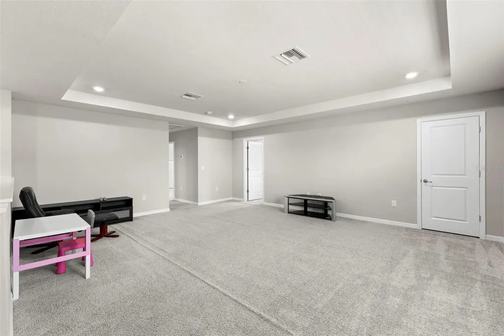 18935 Birchwood Groves Drive Lutz FL 33558