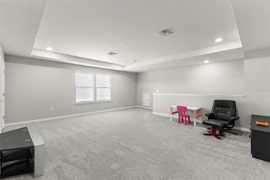18935 Birchwood Groves Drive Lutz FL 33558