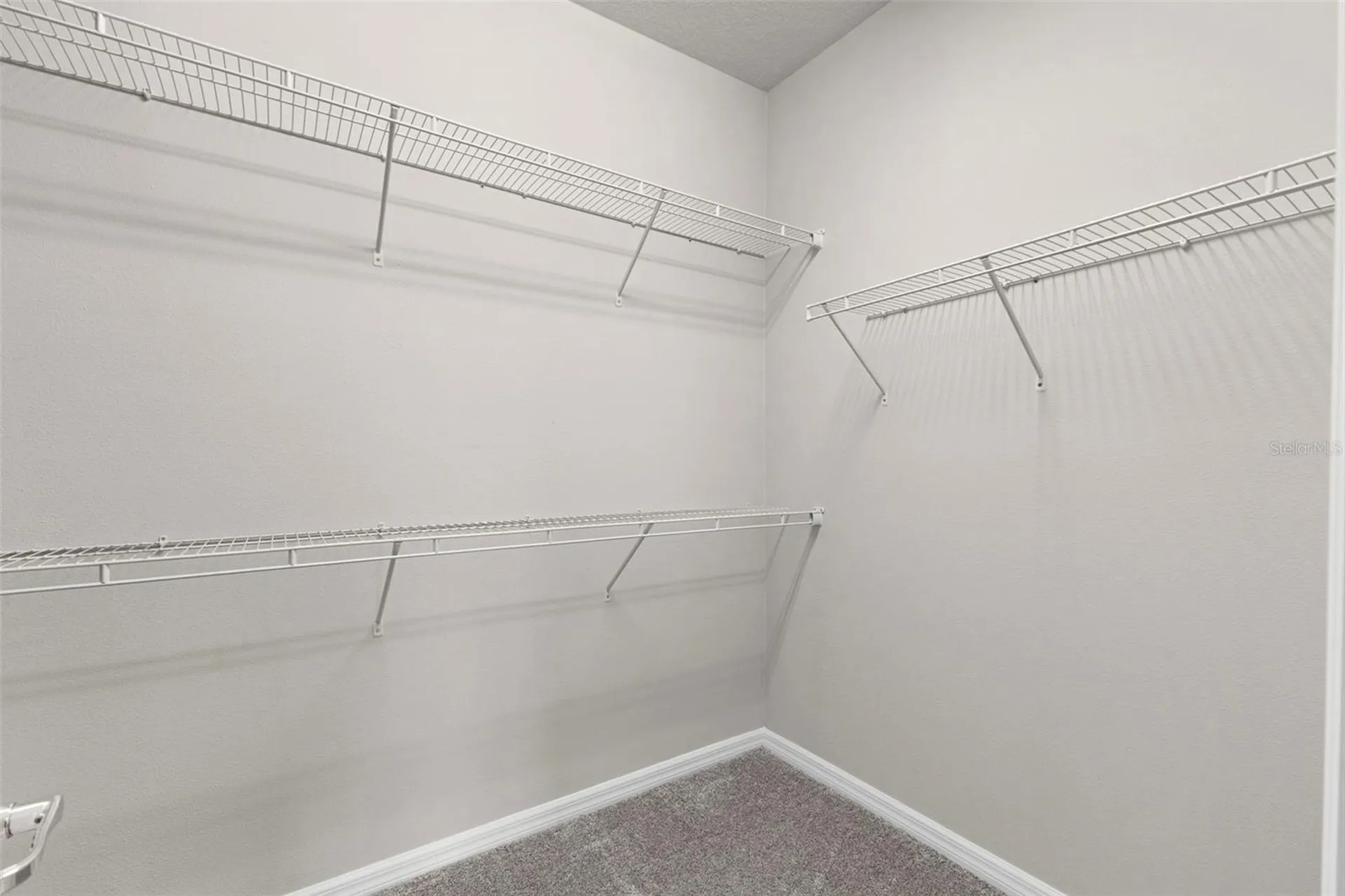 18935 Birchwood Groves Drive Lutz FL 33558