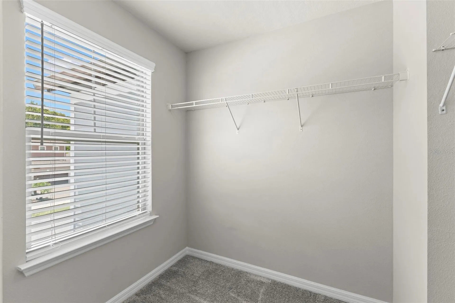 18935 Birchwood Groves Drive Lutz FL 33558