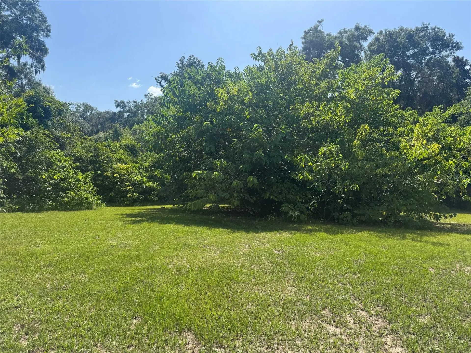 4650 SW 36 Street Ocala FL 34474