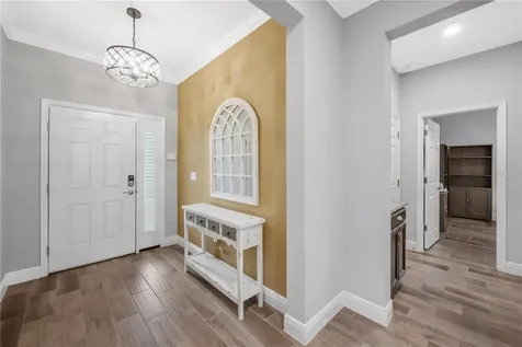 11637 Tetrafin Drive Riverview FL 33579
