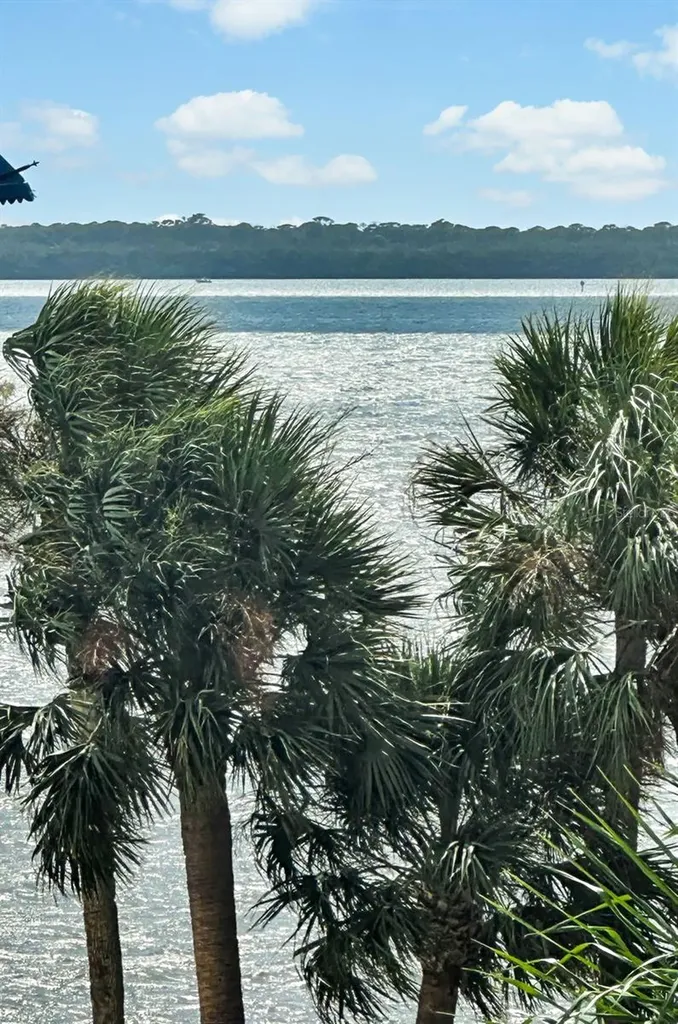 1340 Bayshore Boulevard Dunedin FL 34698