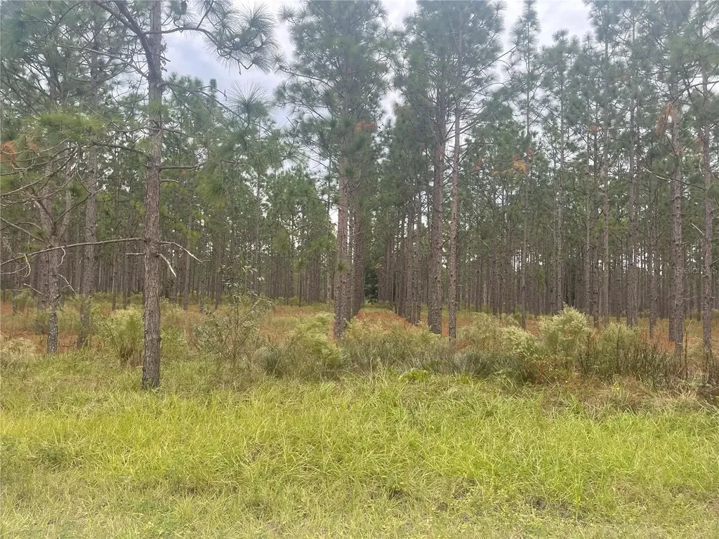30823 Satinleaf Run Brooksville FL 34602