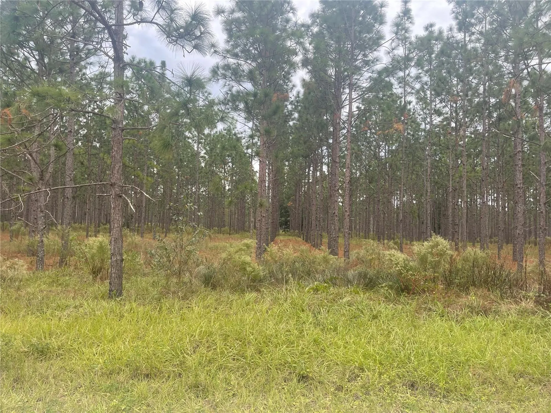 30823 Satinleaf Run Brooksville FL 34602