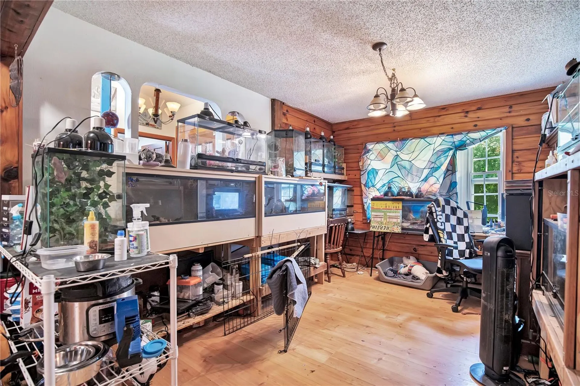 121 Azalea Road Debary FL 32713