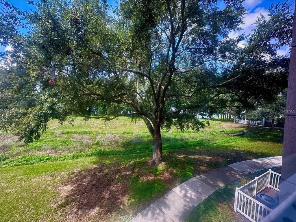 3446 Soho Street Orlando FL 32835