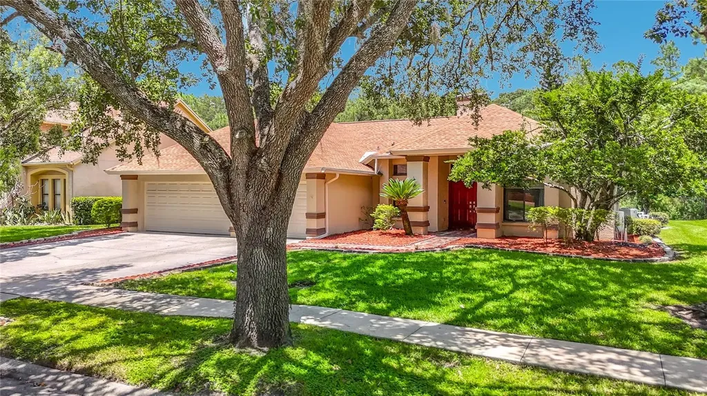 16040 Penwood Drive Tampa FL 33647