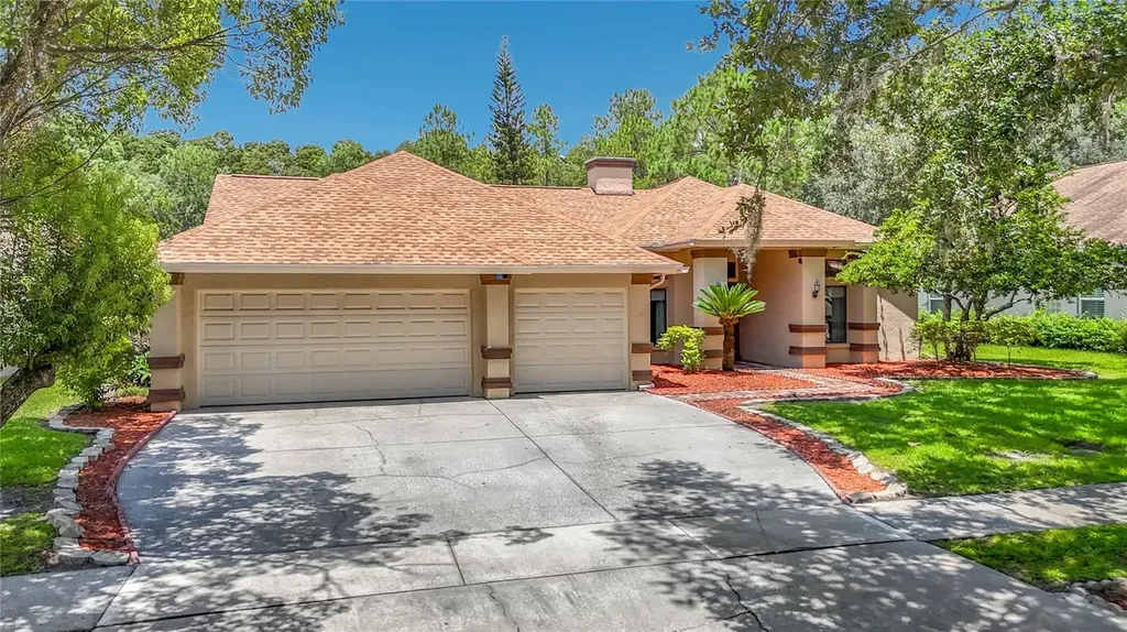 16040 Penwood Drive Tampa FL 33647
