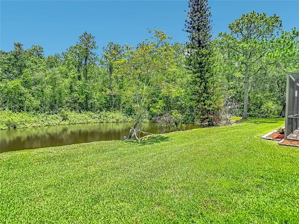 16040 Penwood Drive Tampa FL 33647