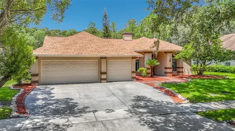 16040 Penwood Drive Tampa FL 33647